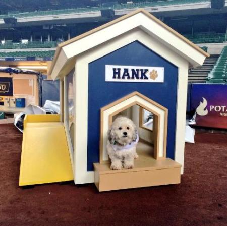 Hank_in_his_new_mobile_Dog_House_2014-04-26_08-27